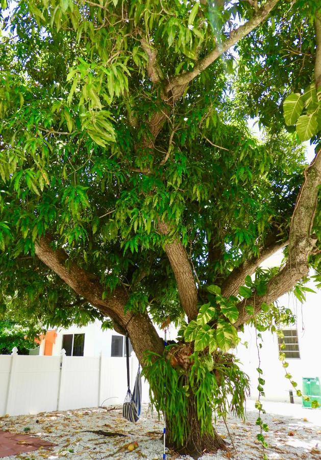 Beautiful Casita With King Bed And Private Patio Close To Calle 8, Mia Airport, Coral Gables Miami Exterior foto